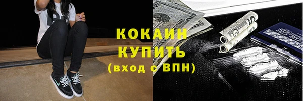 крисы Нея