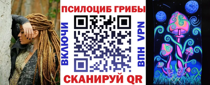 Галлюциногенные грибы Psilocybine cubensis  где можно купить наркотик  Зубцов 
